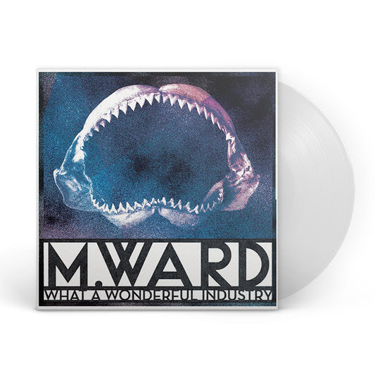 What A Wonderful Industry 12" Cloudy Clear Vinyl